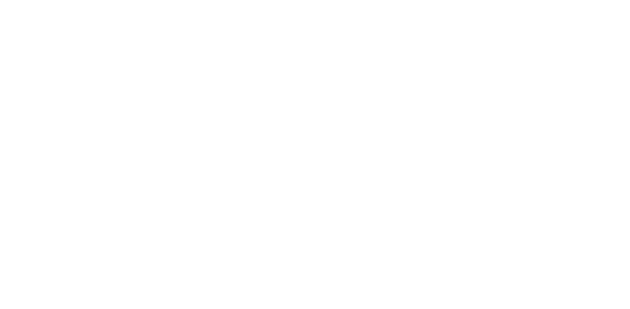 Flight